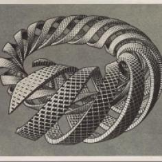 MC Escher Spirals